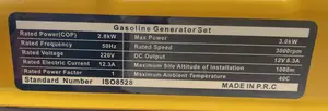 Gasoline Generator Set(3kw)