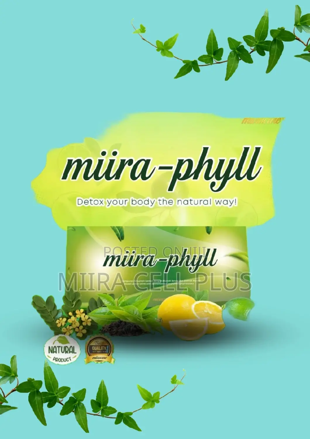 Miira Phyll,Detoxfy Cleanse Full Body,Constipation, Fats