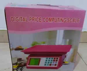 Portable Weigh Catering Food Weigh Scale 40kg Digital Weighing Scale