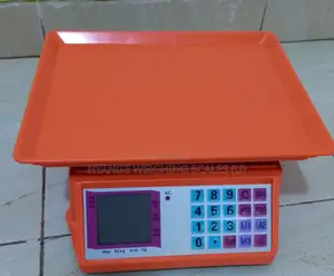 Digital Weighing Scale Weigh Catering Digital Weighing Scale(13)