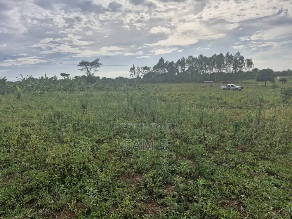 Plots in Vumba for Sale 50×100