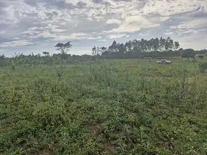 Plots in Vumba for Sale 50×100
