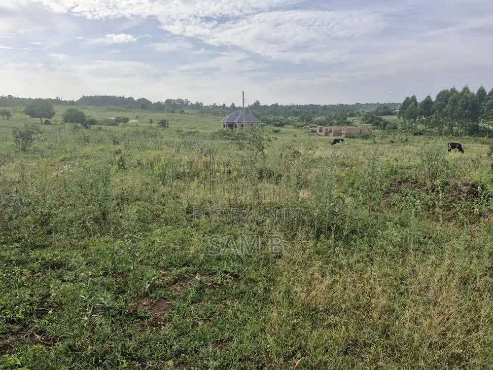 Plots in Vumba for Sale 50×100