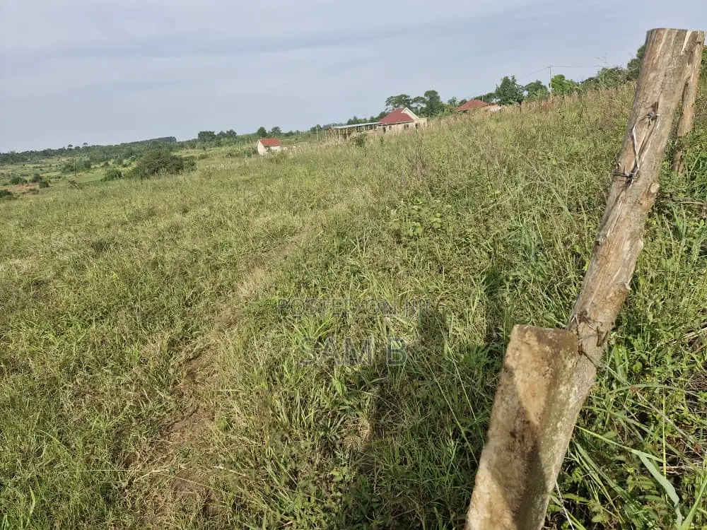 Plots in Vumba for Sale 50×100