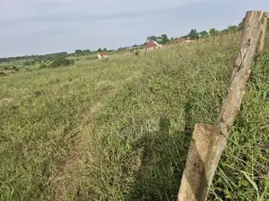 Plots in Vumba for Sale 50×100