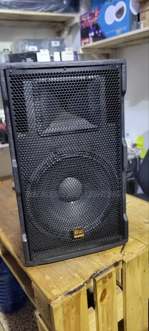 15inch Speaker 500watts Bw15195