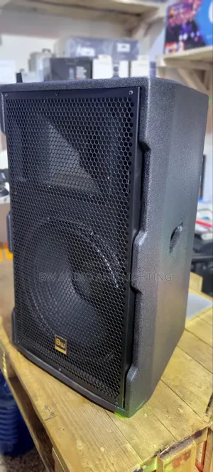 15inch Speaker 500watts Bw15195