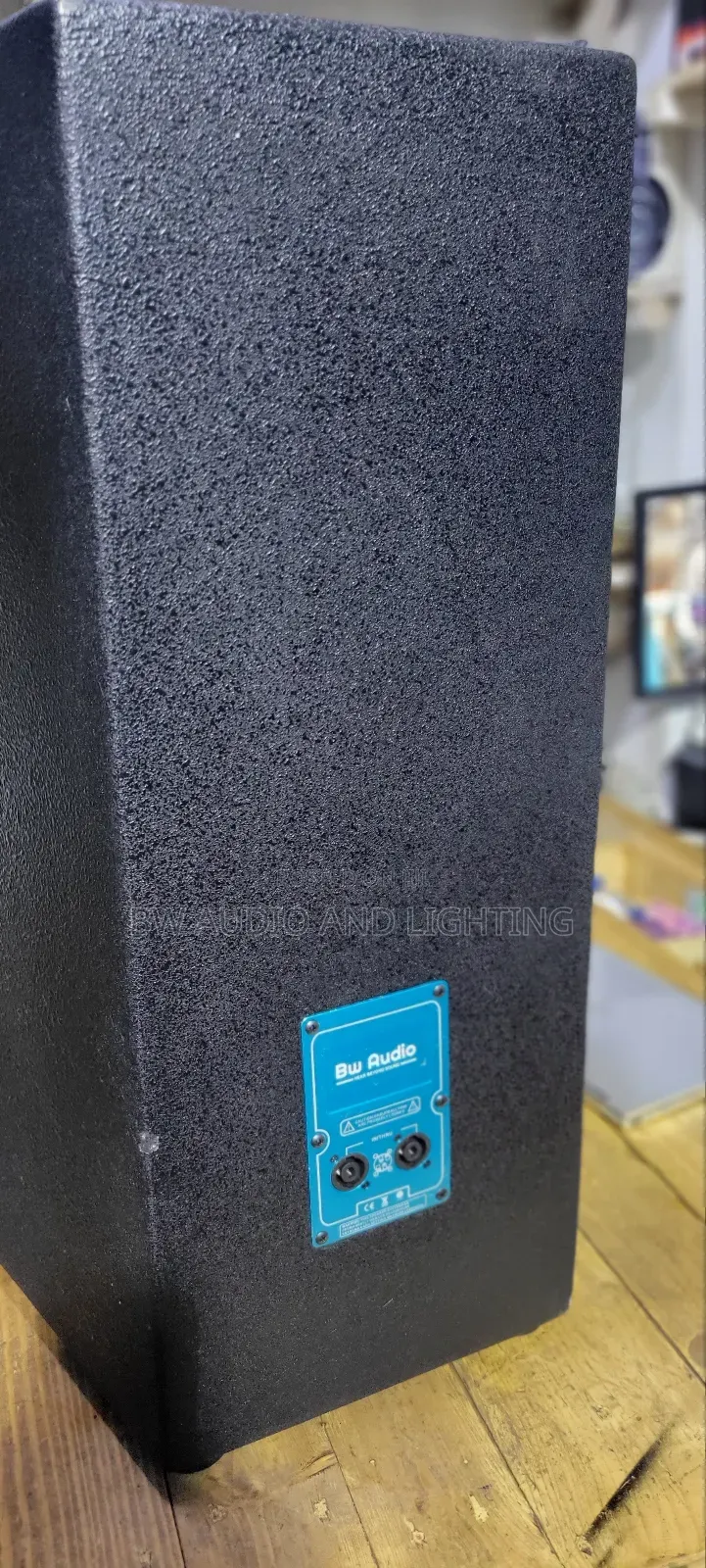 15inch Speaker 500watts Bw15195