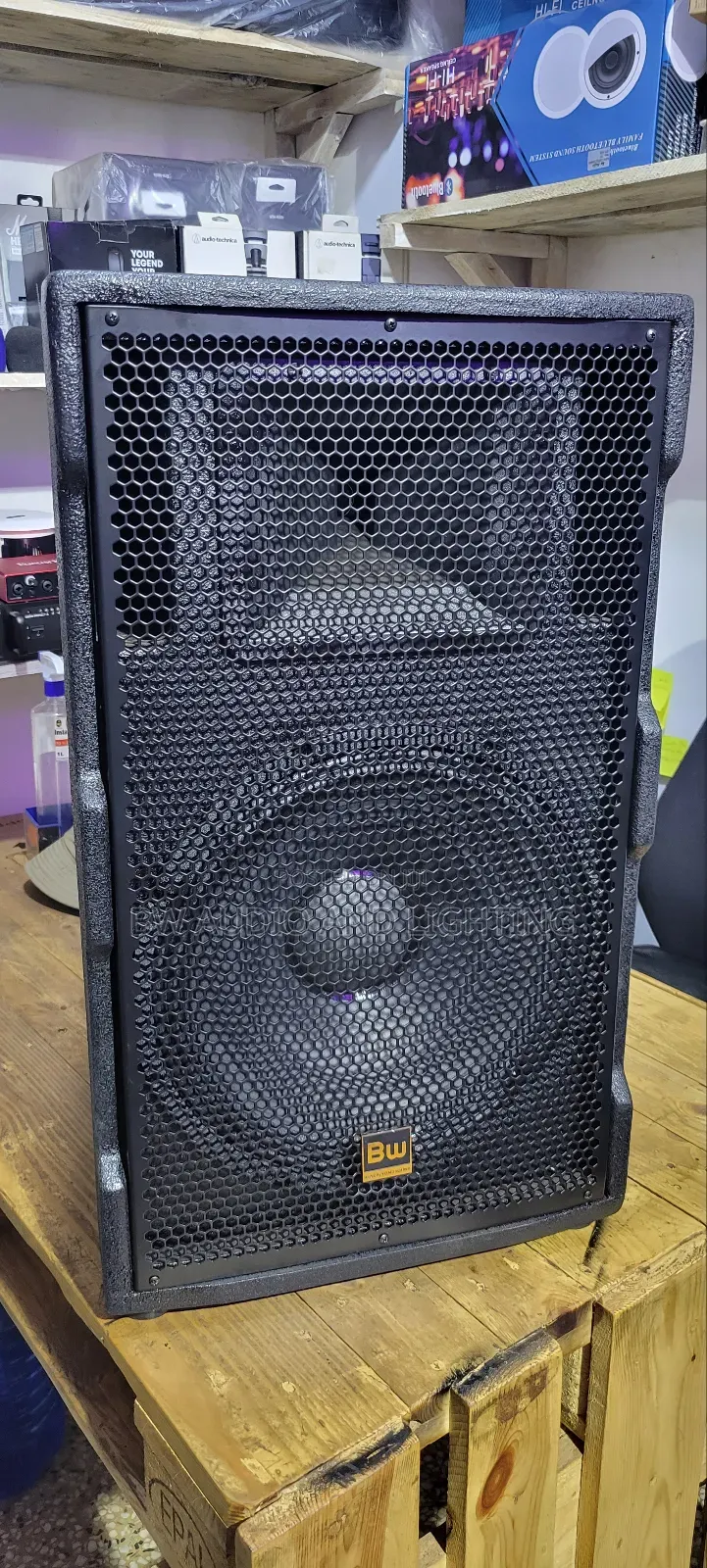 15inch Speaker 500watts Bw15195