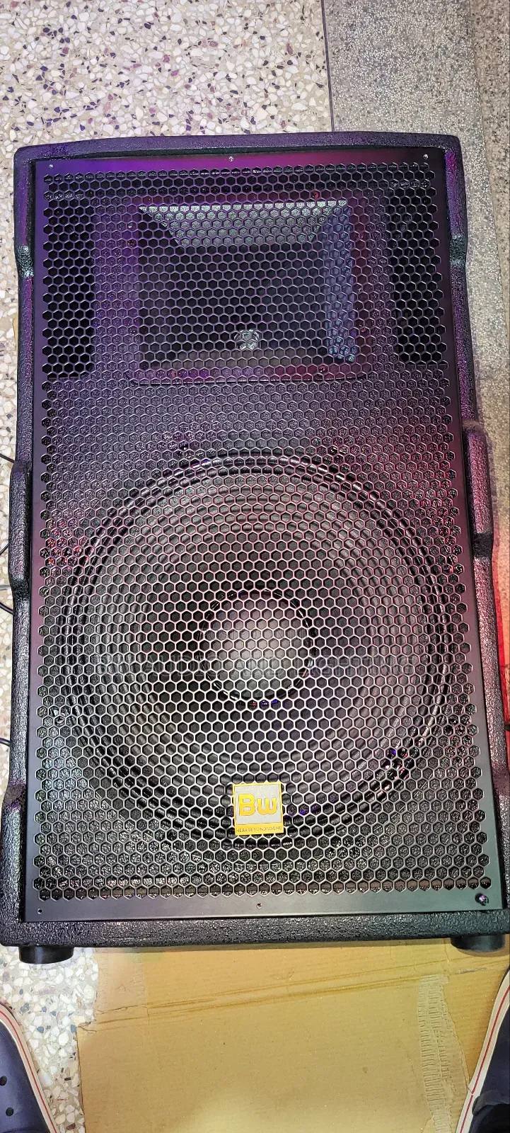 15inch Speaker 500watts Bw15195