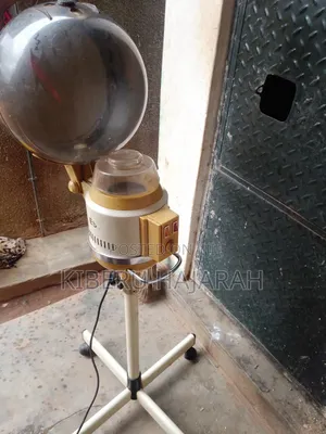 Rolling Salon Hair Steamer