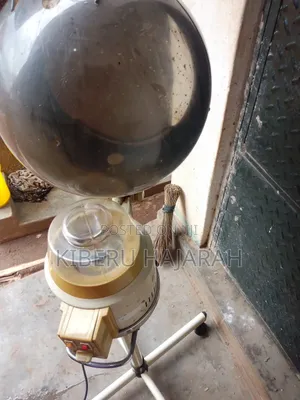Rolling Salon Hair Steamer