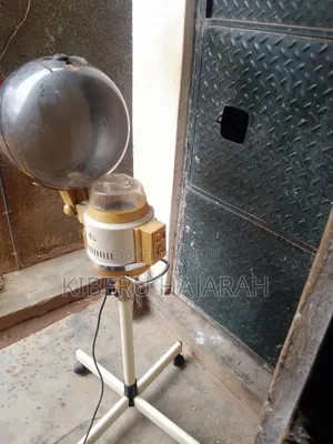 Rolling Salon Hair Steamer