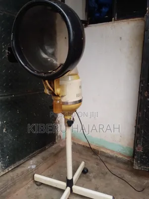 Rolling Salon Hair Steamer
