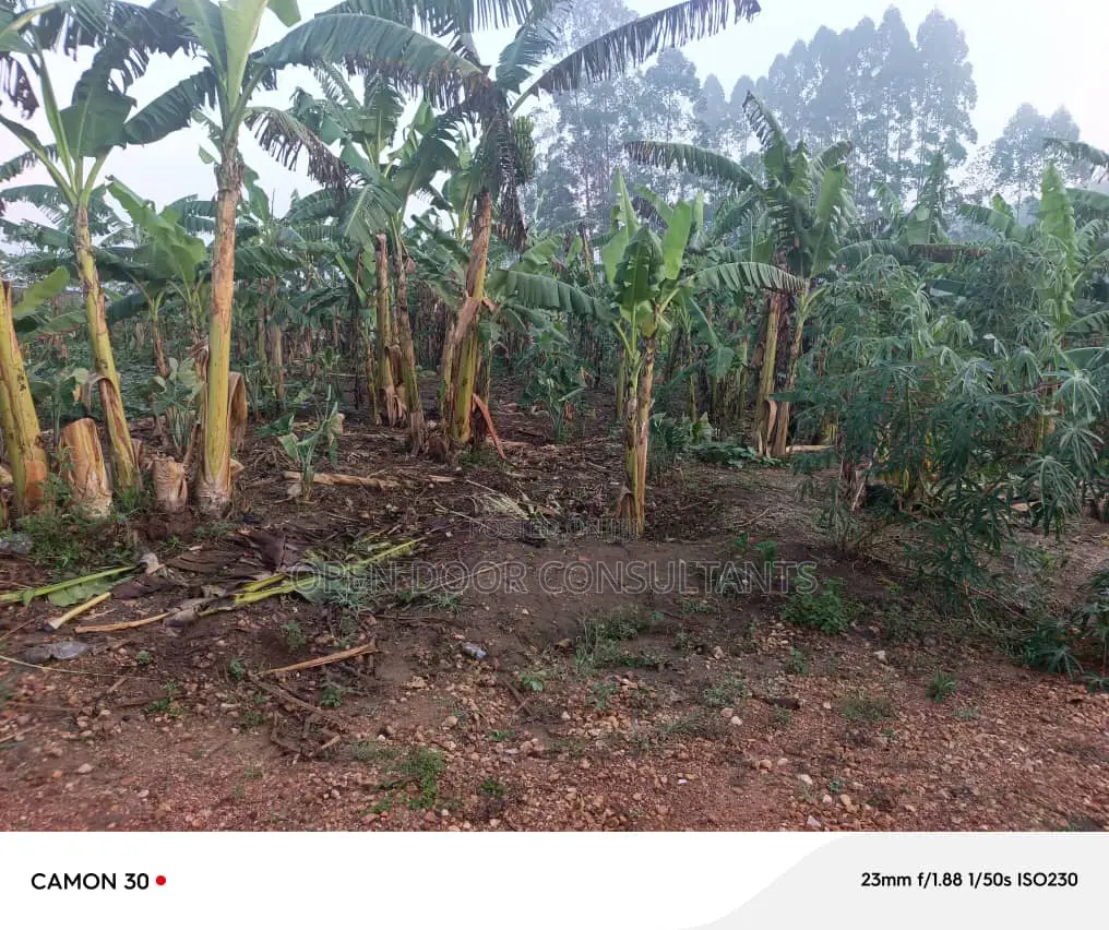 Land for Sale