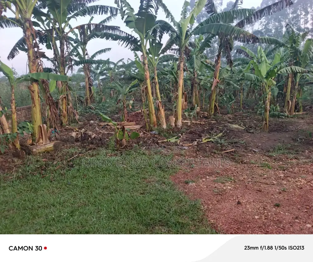 Land for Sale