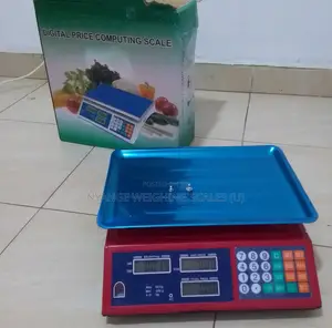 Cy-0334rkitchen Weighing Scales in Uganda