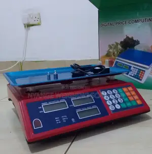Digital Kitchen Weighing Scale 40kg Weigh Digital Shop Weighing Scale