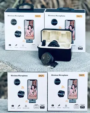 Mini Wireless Microphone