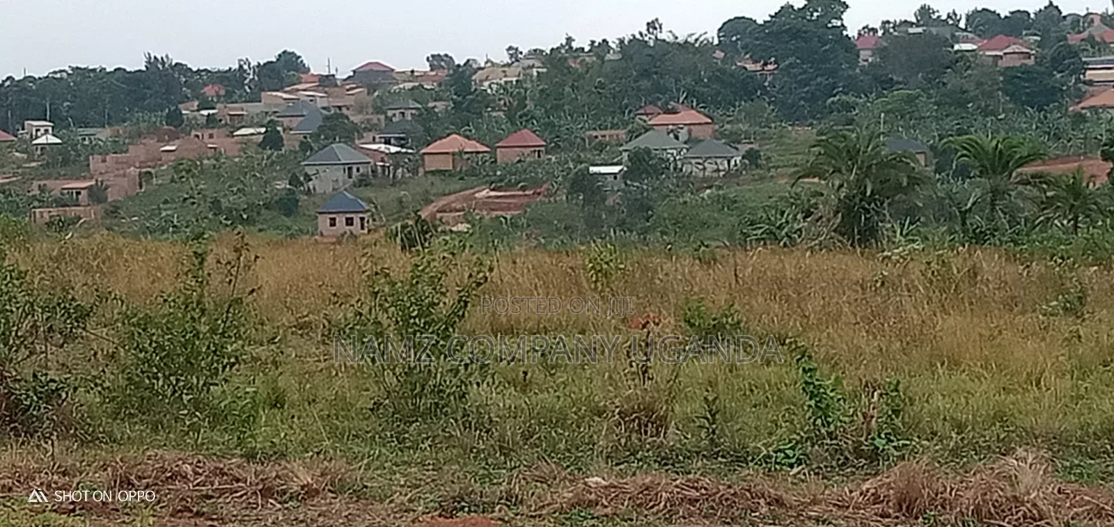 Plot for Sale, Kavule Ssemuto Road (100×50fts)