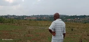 Plot for Sale, Kavule Ssemuto Road (100×50fts)