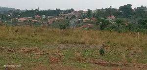 Plot for Sale, Kavule Ssemuto Road (100×50fts)