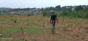 Photo - Plot for Sale Kavule Ssemuto Road (50×50fts)