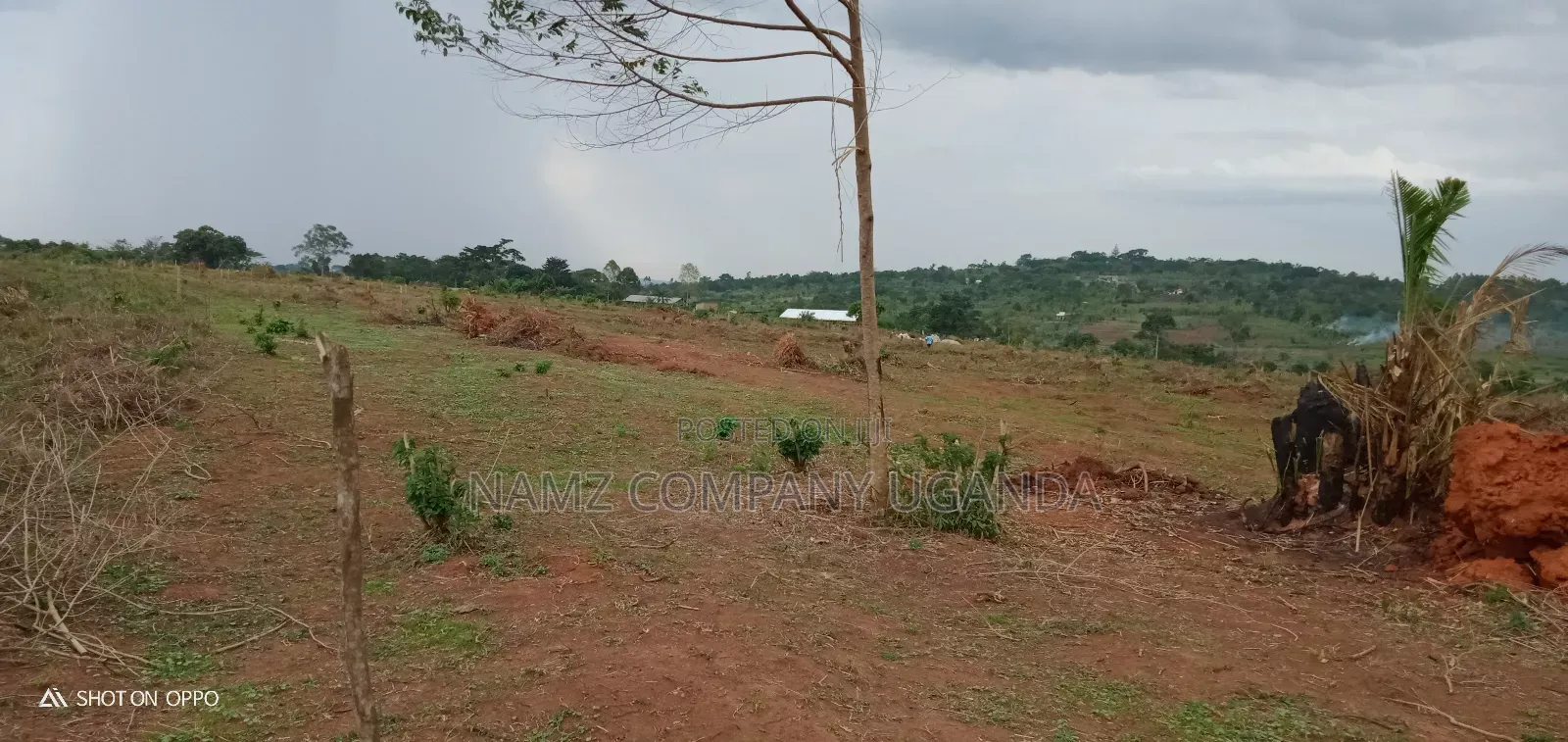 Plot for Sale Kavule Ssemuto Road (20×40fts)
