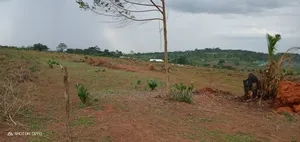 Plot for Sale Kavule Ssemuto Road (20×40fts)