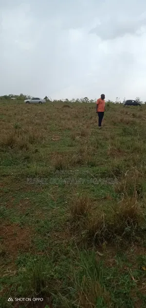 Plot for Sale Kavule Ssemuto Road (100×100fts)