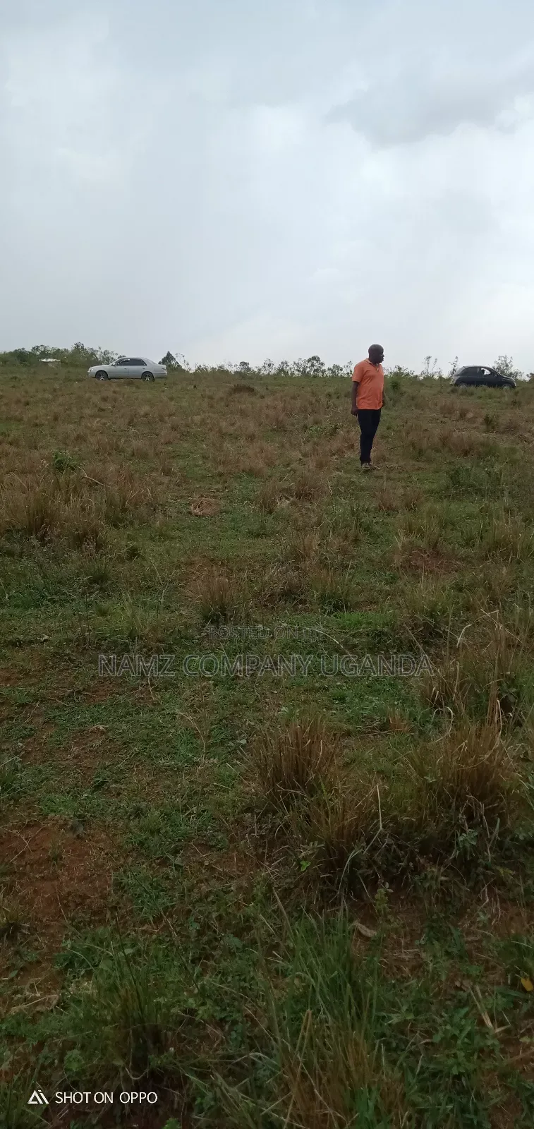 Plot for Sale Kavule Ssemuto Road (100×100fts)