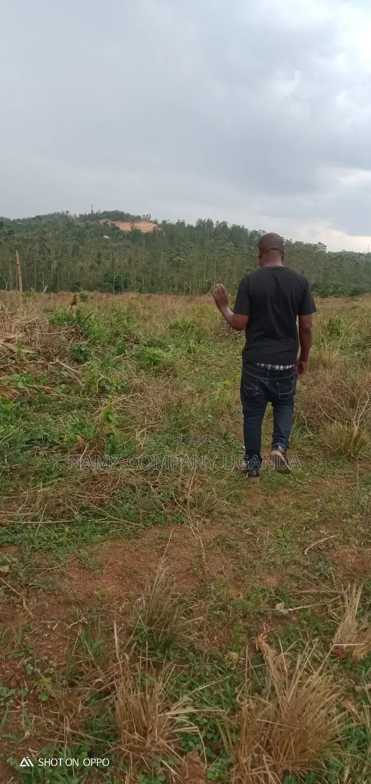 Plot for Sale Kavule Ssemuto Road (100×100fts)