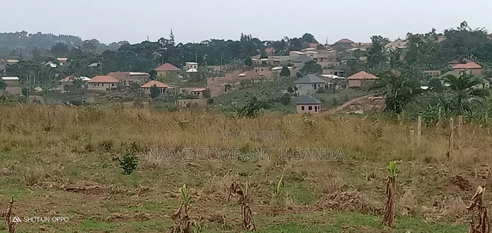 Plot for Sale Kavule Ssemuto Road (100×100fts)