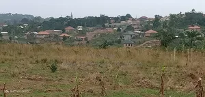 Photo - Plot for Sale Kavule Ssemuto Road (100×100fts)