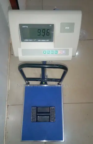 Electronic Weighing Scale Digital Weigh 150kg Platform Weighing Scale