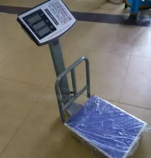 Electronic Weigh Platform Mini Weighing Scale Digital Weighing Scales