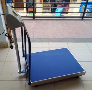 High Accuracy Weighing Scale Platform Weigh Digital Weighing Scales