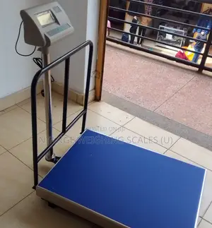 Platform Weighing Scale Machine 500kg Weigh Digital Weighing Scale