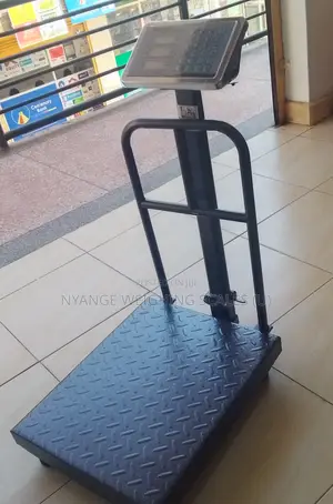 LCD Display Weigh Platform Weighing Scale 300kg Accurate Weigh Scale