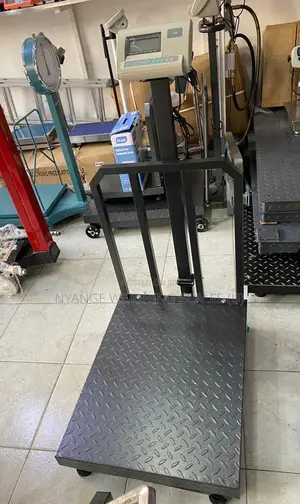 Electronic Weighing Scale Digital Weigh 700kg Platform Weighing Scales