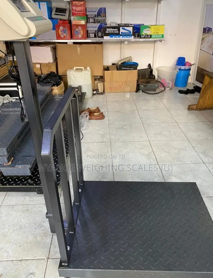 Digital Metal Weigh Scale Platform Weigh 700kg Accurate Weighing Scale