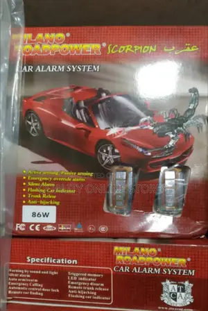 Car Alarm System