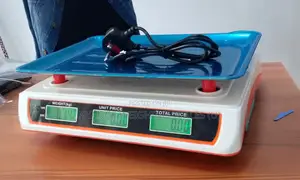 Electronic Weigh Scale Digital Weigh Accurate Digital Weighing Scale