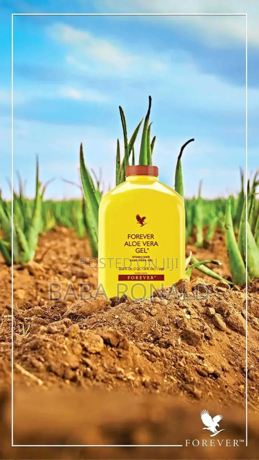 Aloe Vera Gel Forever