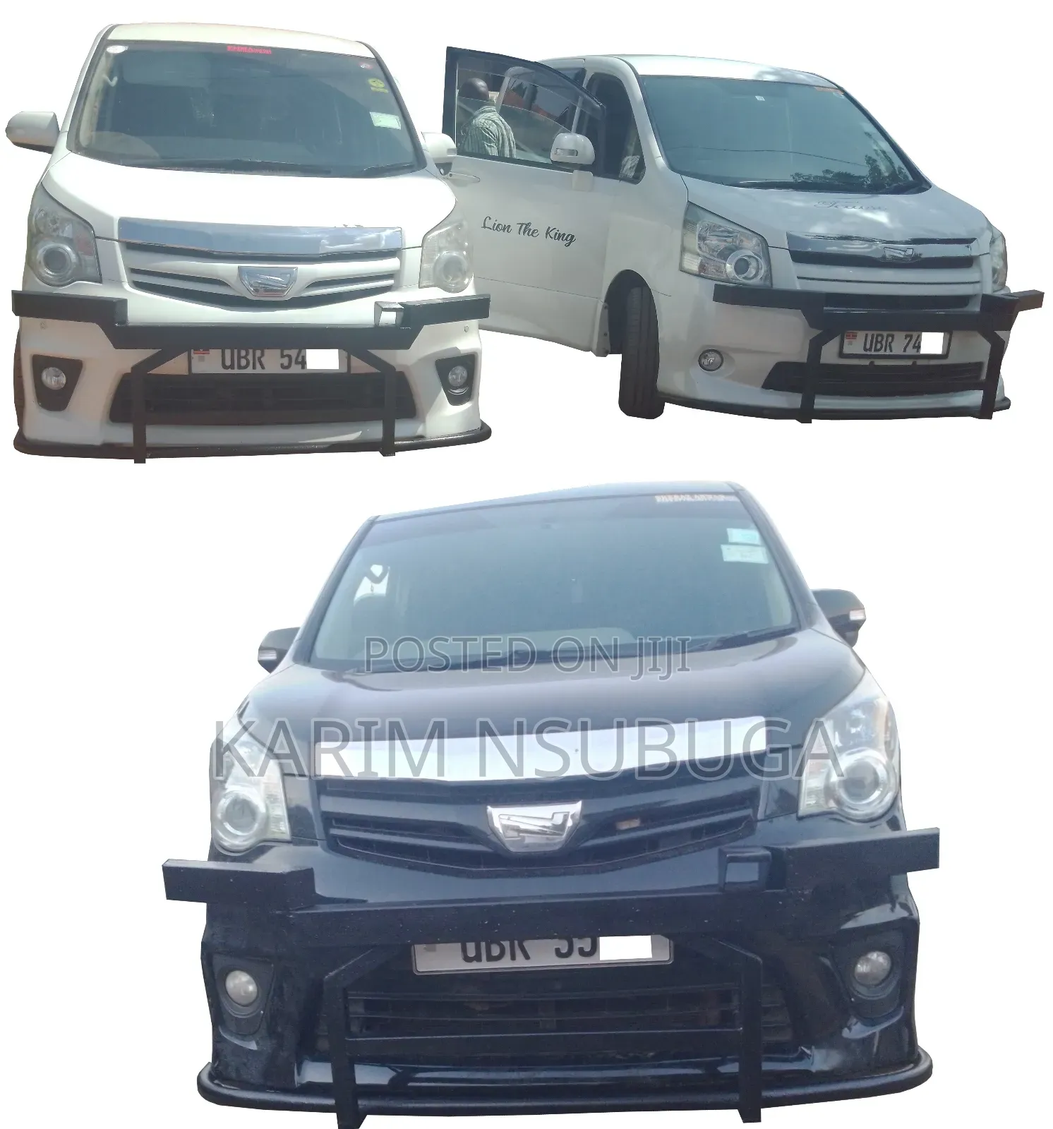 Unique Car Guards