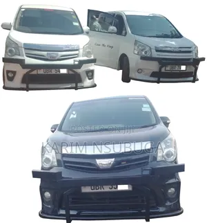 Unique Car Guards
