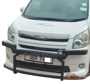 Unique Car Guards