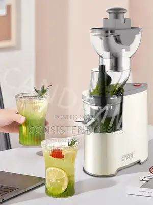 Winning Star Powerful Electric Slow Juicer