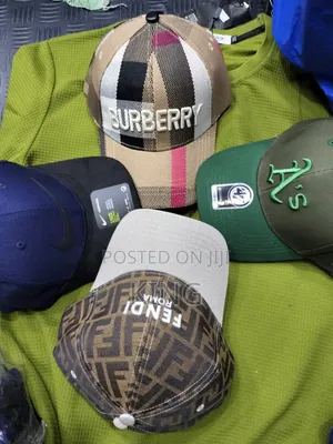 Burberry and Fendicaps