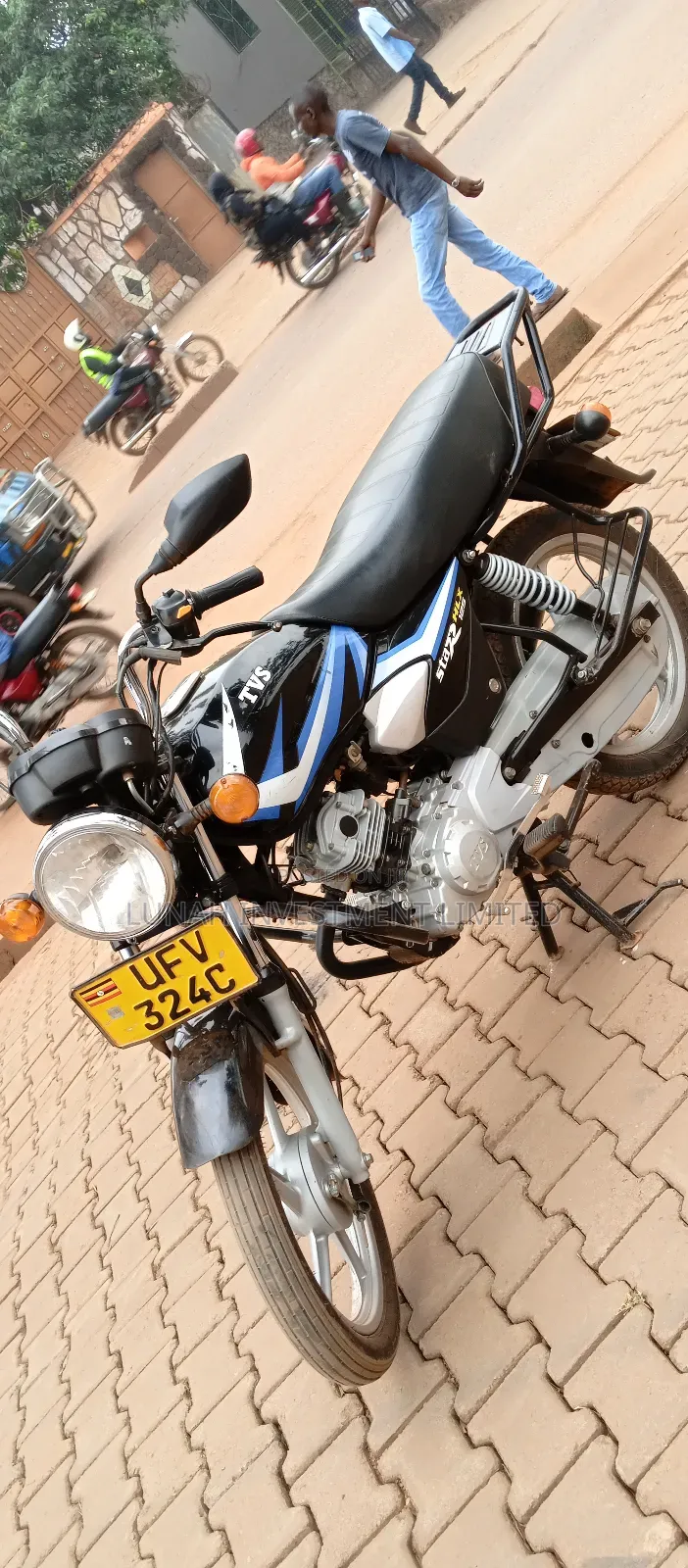 TVS HLX 125 2024 Blue